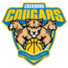 科伯恩美洲狮女篮